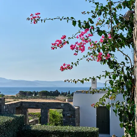 Clover - A Unique House For Your Dream Holidays * Isterni (Paros)