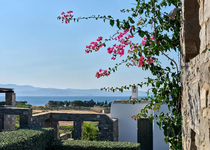 Clover - A Unique House For Your Dream Holidays * Isterni (Paros)