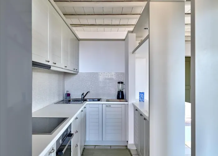 Clover - A Unique House For Your Dream Holidays Isterni (Paros)